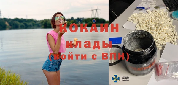 твердый Абаза