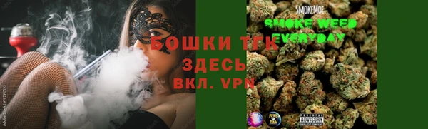 твердый Абаза