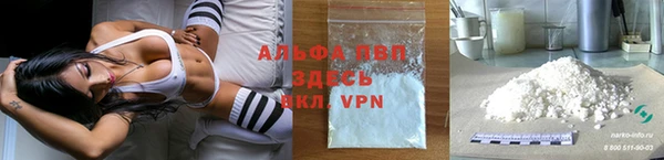твердый Абаза