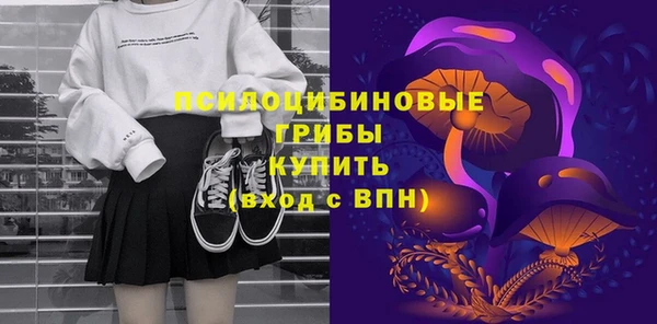твердый Абаза