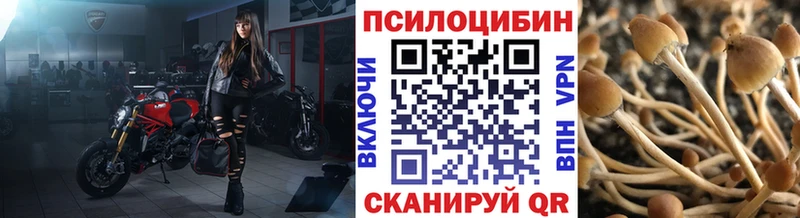 Галлюциногенные грибы MAGIC MUSHROOMS  Углегорск 